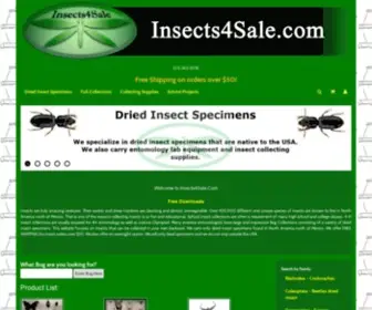 Insects4Sale.com(Dried insect specimens and entomology supplies) Screenshot