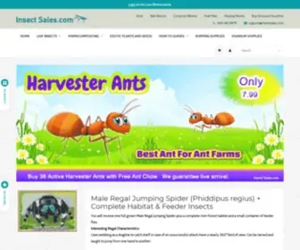 Insectsales.com(Insect Sales.com) Screenshot