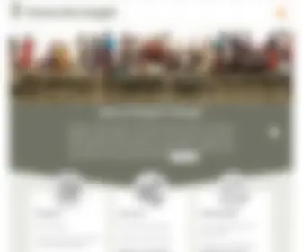 Insecurityinsight.org(Insecurity Insight) Screenshot