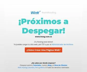 Inseg.com.co(inseg) Screenshot