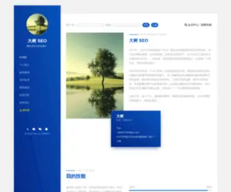 Inseo.cn(大树SEO) Screenshot