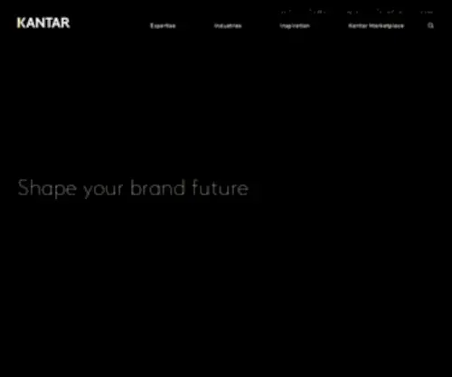 Insightexpressai.com(Shape your brand future) Screenshot
