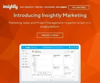 Insightly.com(The modern) Screenshot