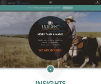 Insightmarketingdesign.com(Brand Building Marketing Agency) Screenshot