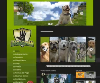 Insigniacanina.com(Adiestramiento canino Bogot�) Screenshot