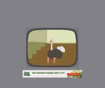 Instantostrich.com(Laughing ostrich video from Family Guy) Screenshot