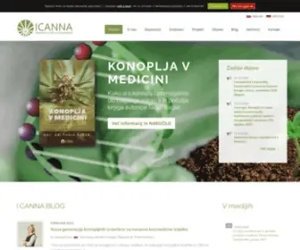 Institut-Icanna.com(ICANNA) Screenshot