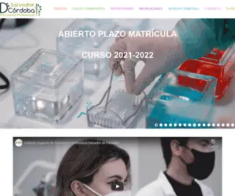 Instituto-Salvadordecordoba.es(Centro Docente Privado Salvador de Córdoba) Screenshot