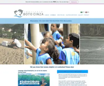 Institutobotocinza.org(INÍCIO) Screenshot