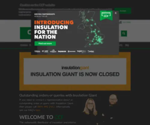 Insulationgiant.co.uk(Insulation Giant) Screenshot