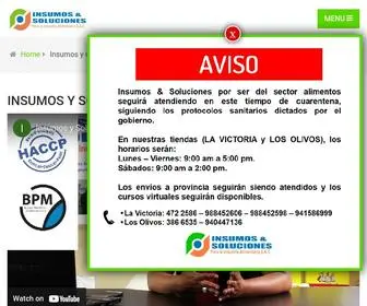 Insumosysoluciones.pe(Insumos) Screenshot