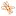 Intele.com Favicon