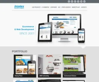 Intelex.ca(Beside web design we offer a wide variety of other services) Screenshot