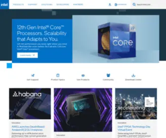Intell.com(Intell) Screenshot