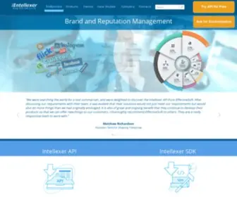 Intellexer.com(Text Mining Solutions for Everyone) Screenshot