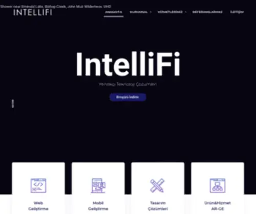 Intellifi.tech(Intellifi tech) Screenshot