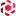 Intelliflash.io Favicon