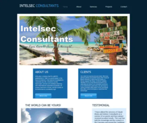 Intelsecconsultants.com(Home) Screenshot