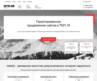 Intelsib.ru(Авторизация) Screenshot