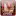 Intercambiosos.org Favicon