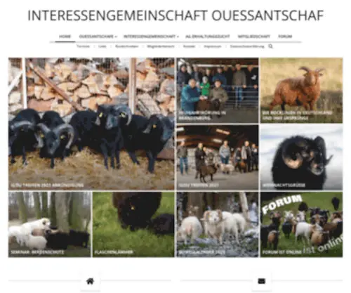 Interessengemeinschaft-Ouessantschaf.de(Interessengemeinschaft Ouessantschaf) Screenshot