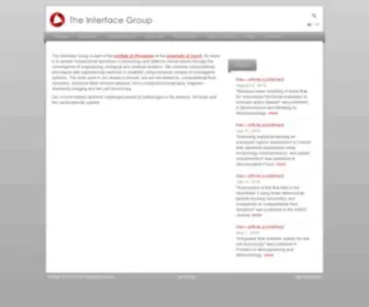 Interfacegroup.ch(The Interface Group) Screenshot