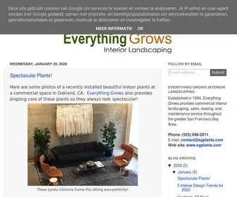 Interior-Plant.com(Everything Grows) Screenshot