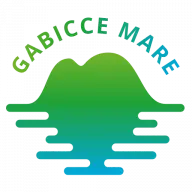 Internationalgabicce.com Favicon