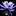 Internationalwaterlilycollection.com Favicon