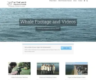Inthewildproductions.com(Video Production Services and Whale Footage) Screenshot