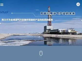 Intlef.com(英特莱福上海新能源技术有限公司) Screenshot