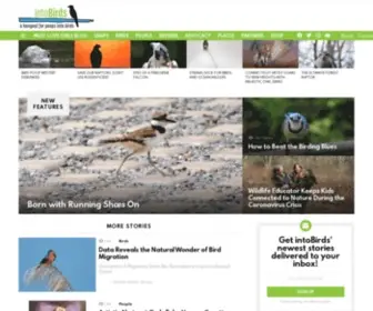 Intobirds.com(Intobirds) Screenshot