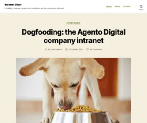Intranetdiary.co.uk(Usability, content, search and analytics on the corporate intranet) Screenshot