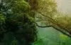 Intuitivebynature.com Favicon