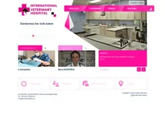 Intvethospital.com(İntvet hospital) Screenshot