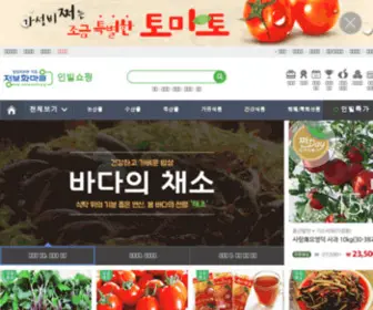 Invil.com(인빌쇼핑) Screenshot