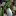 Ioanastancu.ro Favicon