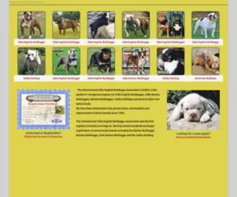 Ioeba.net(The World's #1 Registry and Association for Olde English Bulldogges and All Bully Breeds) Screenshot