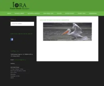 Ioraguesthouse.com(Iora Guesthouse) Screenshot