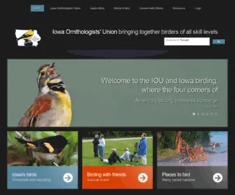 Iowabirds.org(Iowa Ornithologists' Union) Screenshot