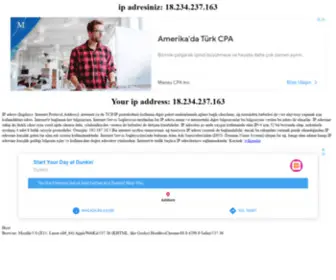Ipadresim.org(IP Adresim) Screenshot