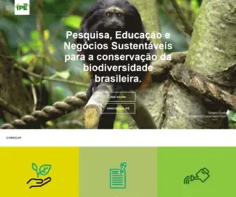 Ipe.org.br(IPÊ) Screenshot