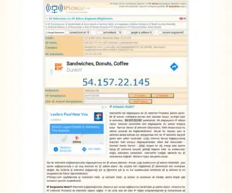 Ipsorgulama.com(IP Sorgulama) Screenshot