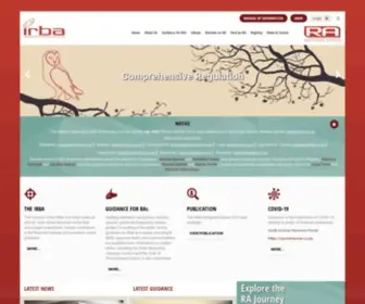 Irba.co.za(The function of the IRBA) Screenshot