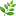 Irenechong.net Favicon