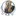 Irina-Shanko.com Favicon