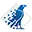 Irisdatacapture.com Favicon