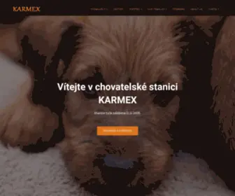 Irishterrier.cz(Irský terier) Screenshot