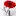 Irohasu.jp Favicon