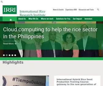 Irri.org(International Rice Research Institute) Screenshot